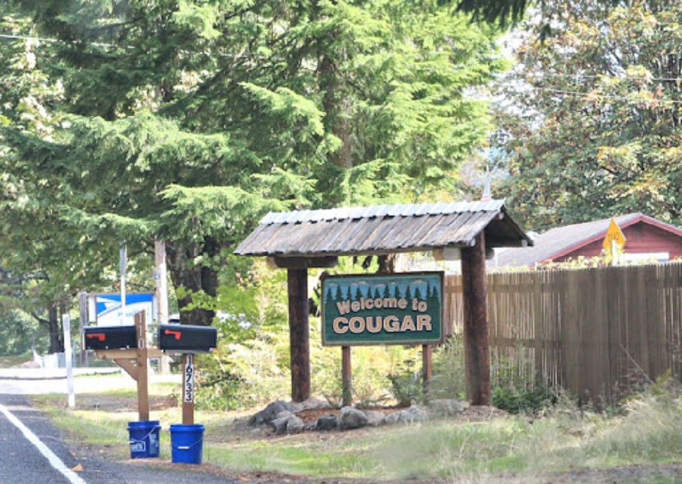 Cougar, Washington: Interesting Things About the Former Town 