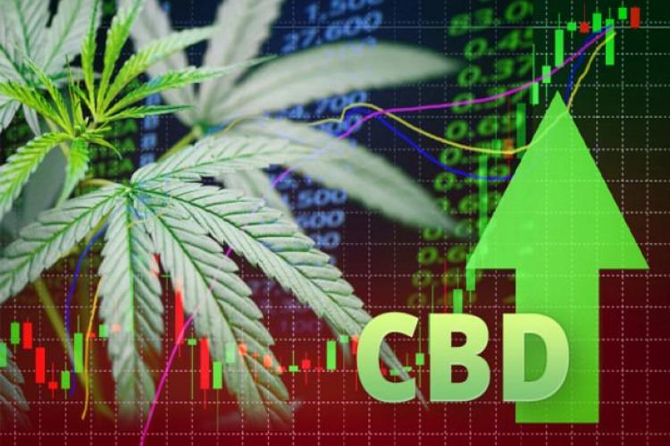 Is the CBD industry growing?*