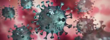 Coronavirus Washington: All You Need To Know