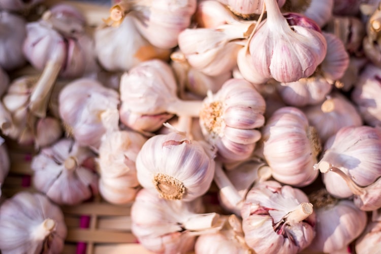Surprising Benefits of Eating Garlic for Your Health