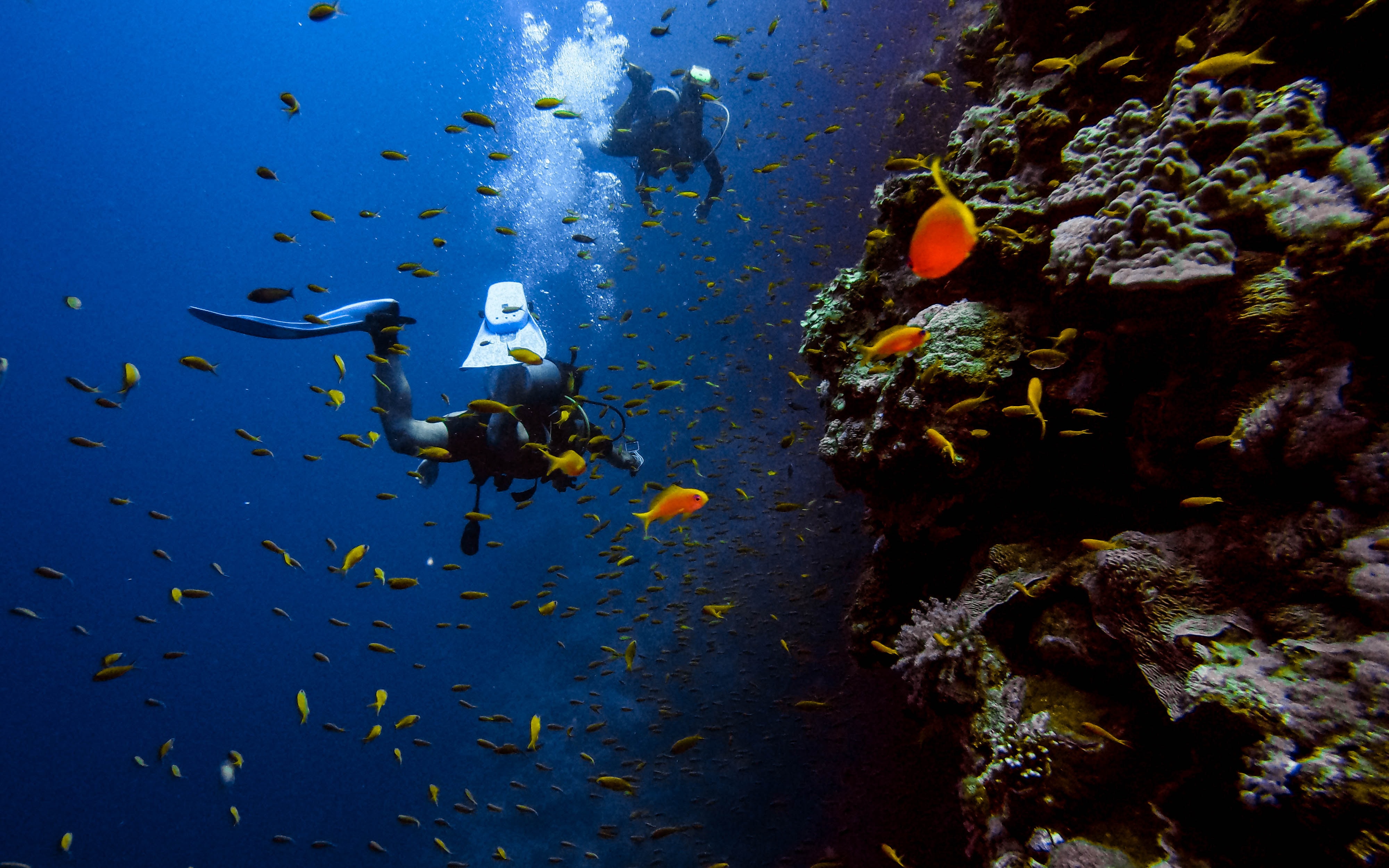 10 Places for Scuba Diving