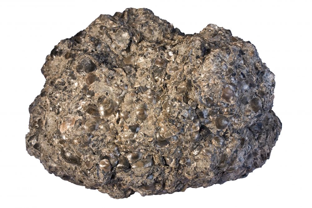 Phosphate rock
