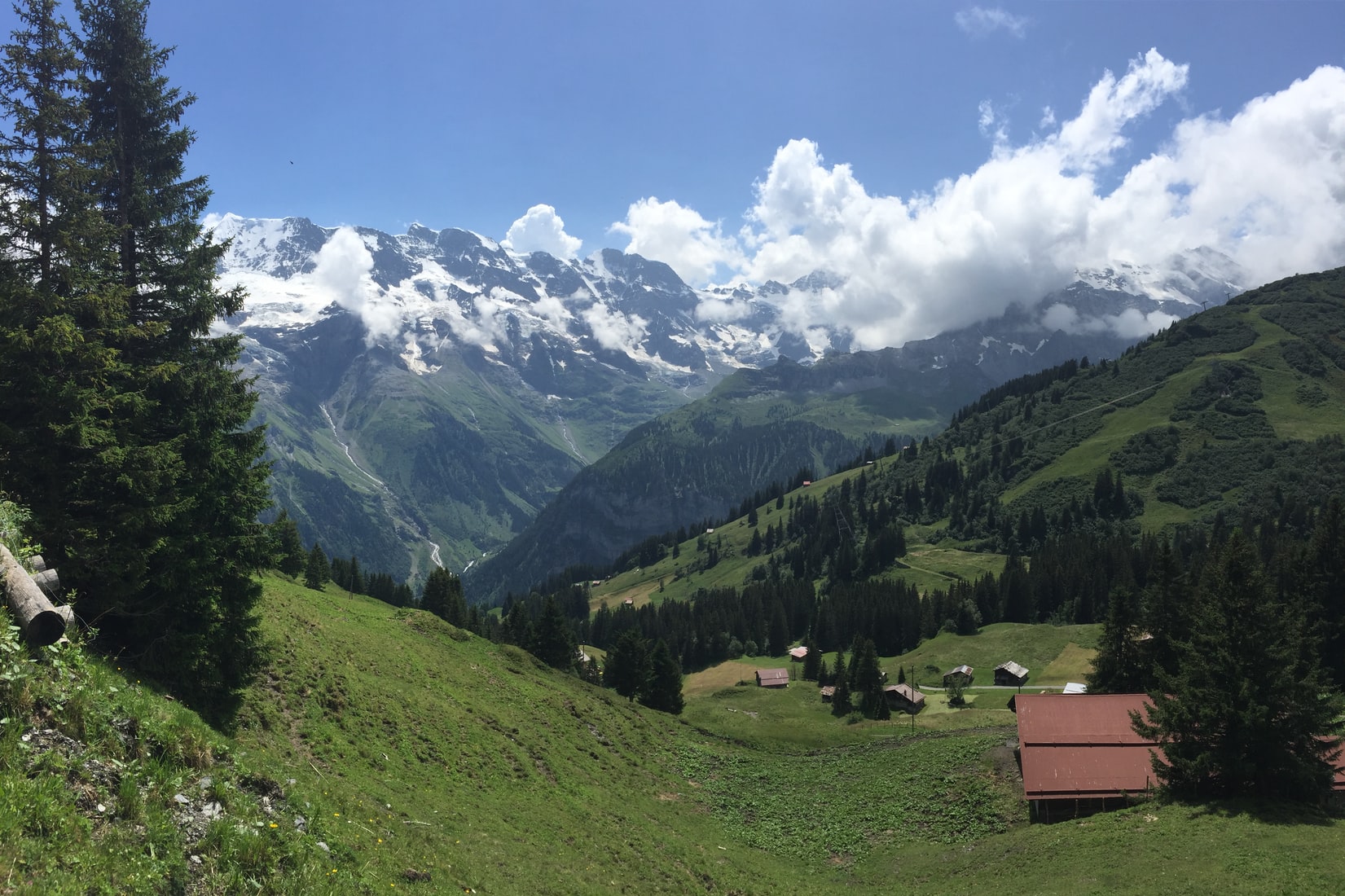 Explore the Southern Deciduous Region of Switzerland