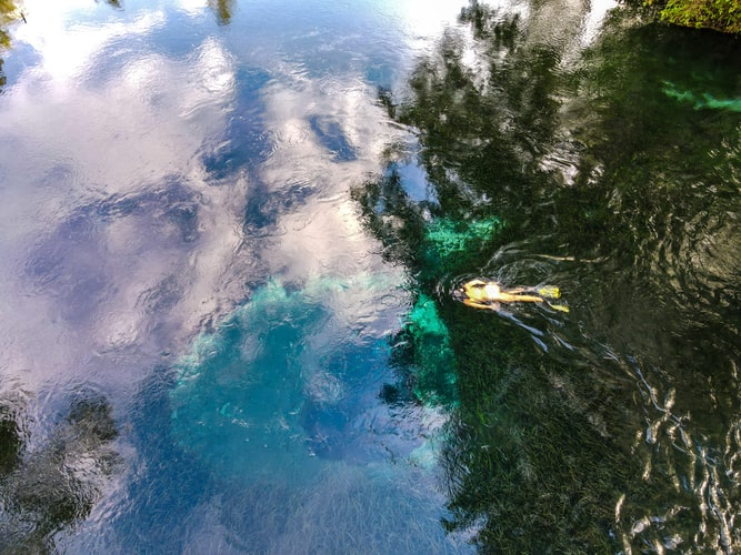 Learn About Florida's Springs