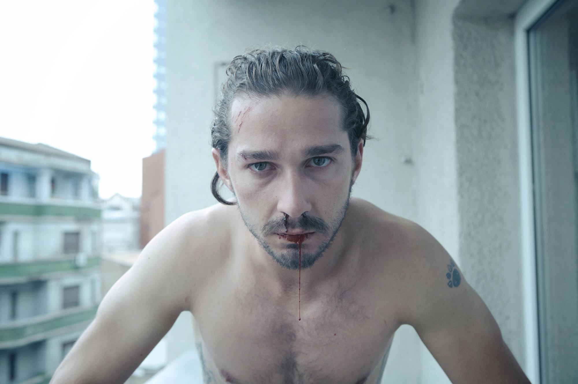 Shia LaBeouf Movies That Made Us Fall In Love With The Actor