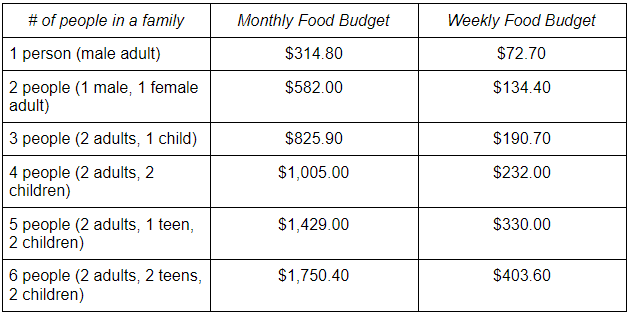 Table of typical budget for groceries
