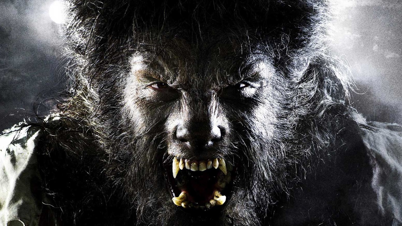 Best 8 Werewolf Movies To Watch Under A Full Moon