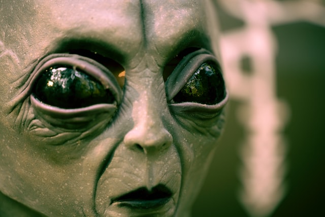 Headshot of a supposed extraterrestrial being