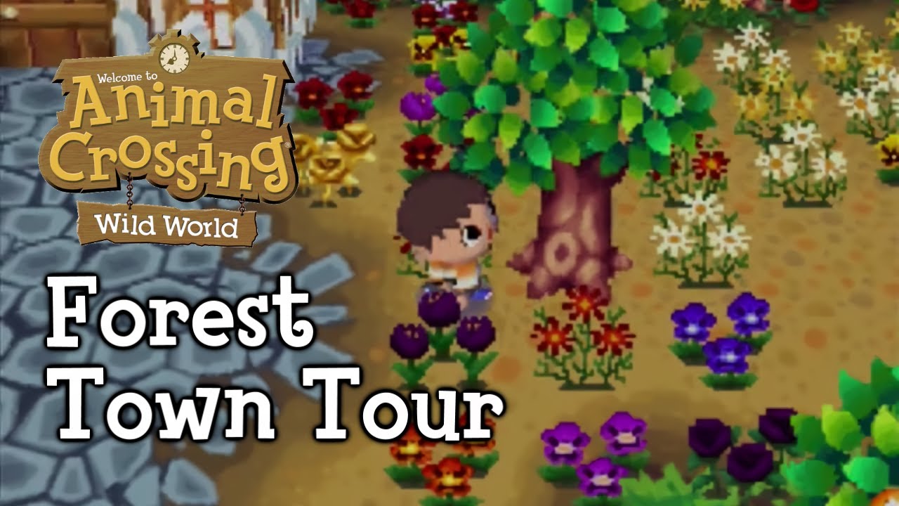 Animal Crossing: Wild World is a 2005 social simulation video game developed and published by Nintendo for the Nintendo DS handheld game console.