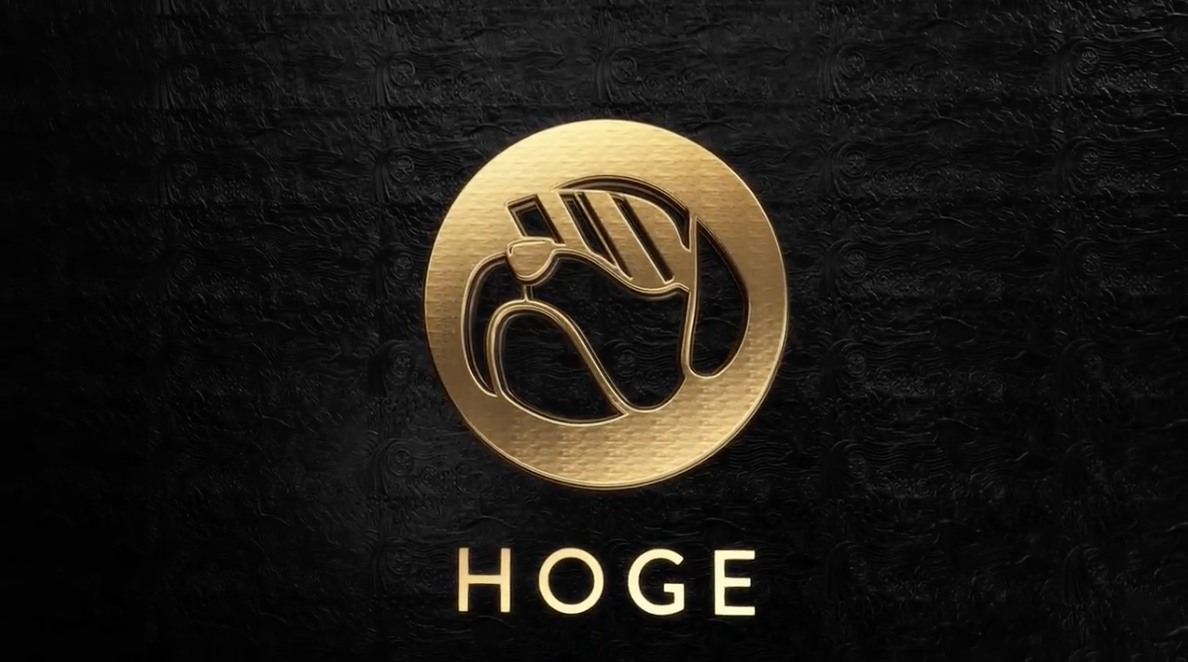 Hoge Coin Price Prediction In The Next Five Years