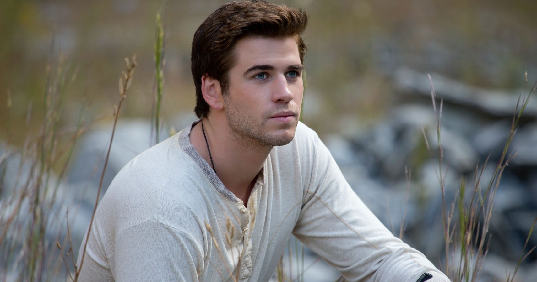 Gale Hawthorne was Katniss Everdeen's best friend and hunting partner and one of the main characters.