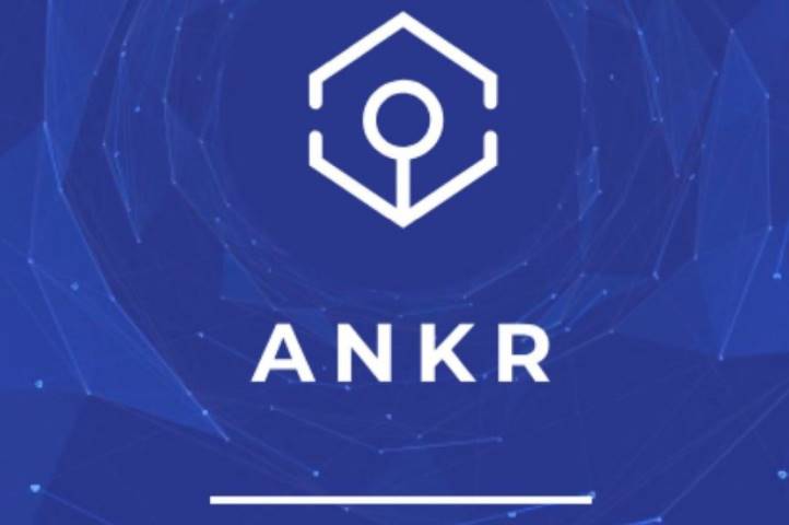 Ankr Coin Price Prediction 2030 - What To Watch Out For