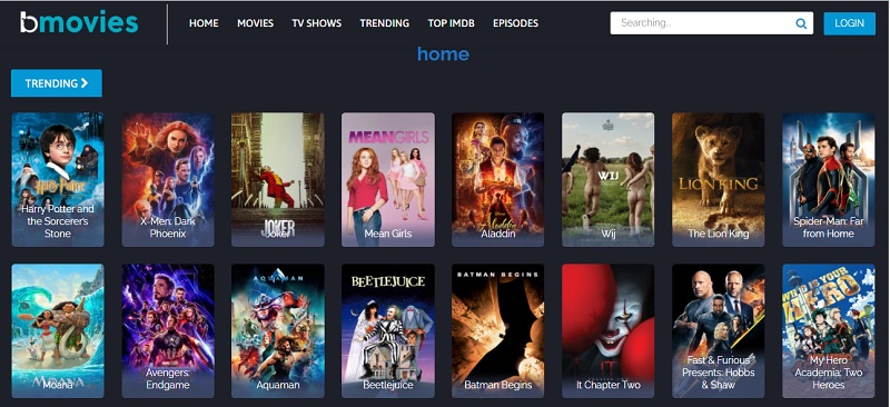 Bmovies Webpage search bar with movie posters