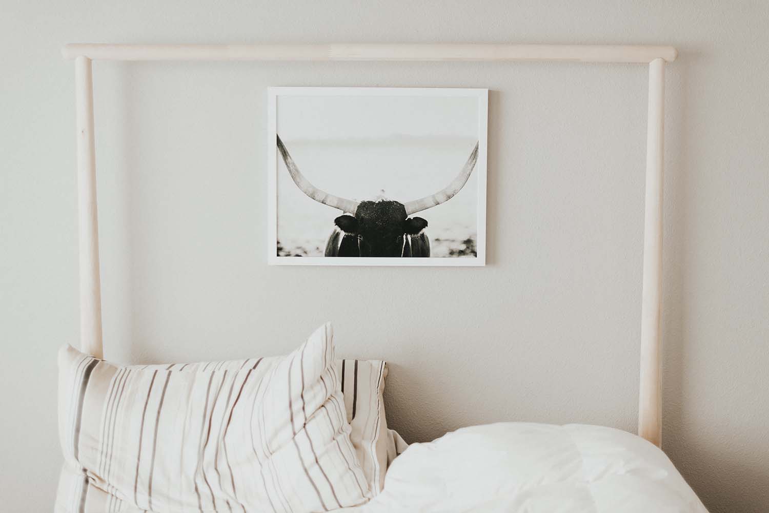 White pillows and a black & white picture of a bull with long horns on the wall