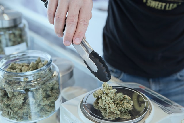 Person weighing a lump of dried marijuana on a kitchen scale