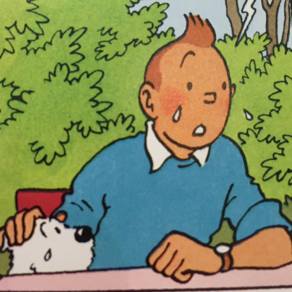 A worried Tintin in white collared shirt under a blue long-sleeved shirt, with his hand on Snowy’s head