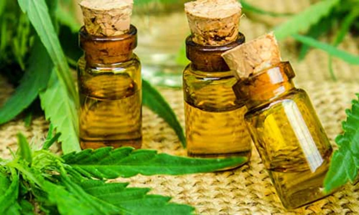 Three closed bottles of CBD oil surrounded by cannabis leaves