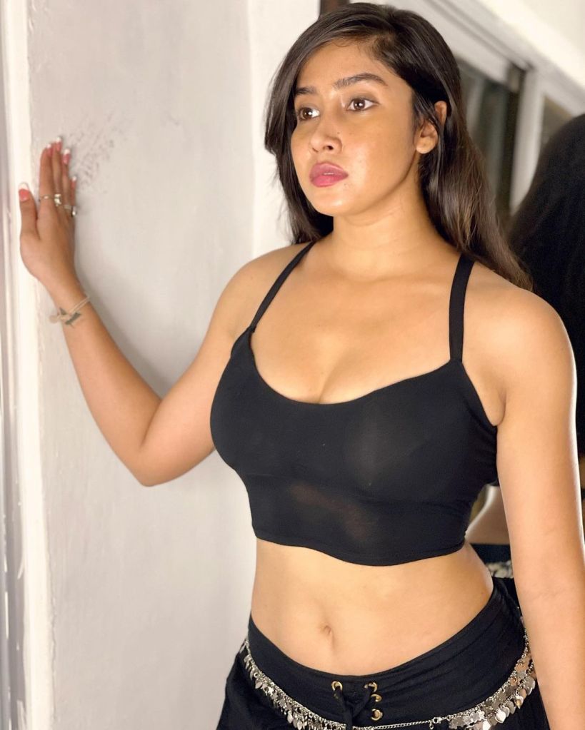 Sofia Ansari- A Viral Star On Tik Tok Who Makes Lip-Syncing Videos And Is Well Known In India