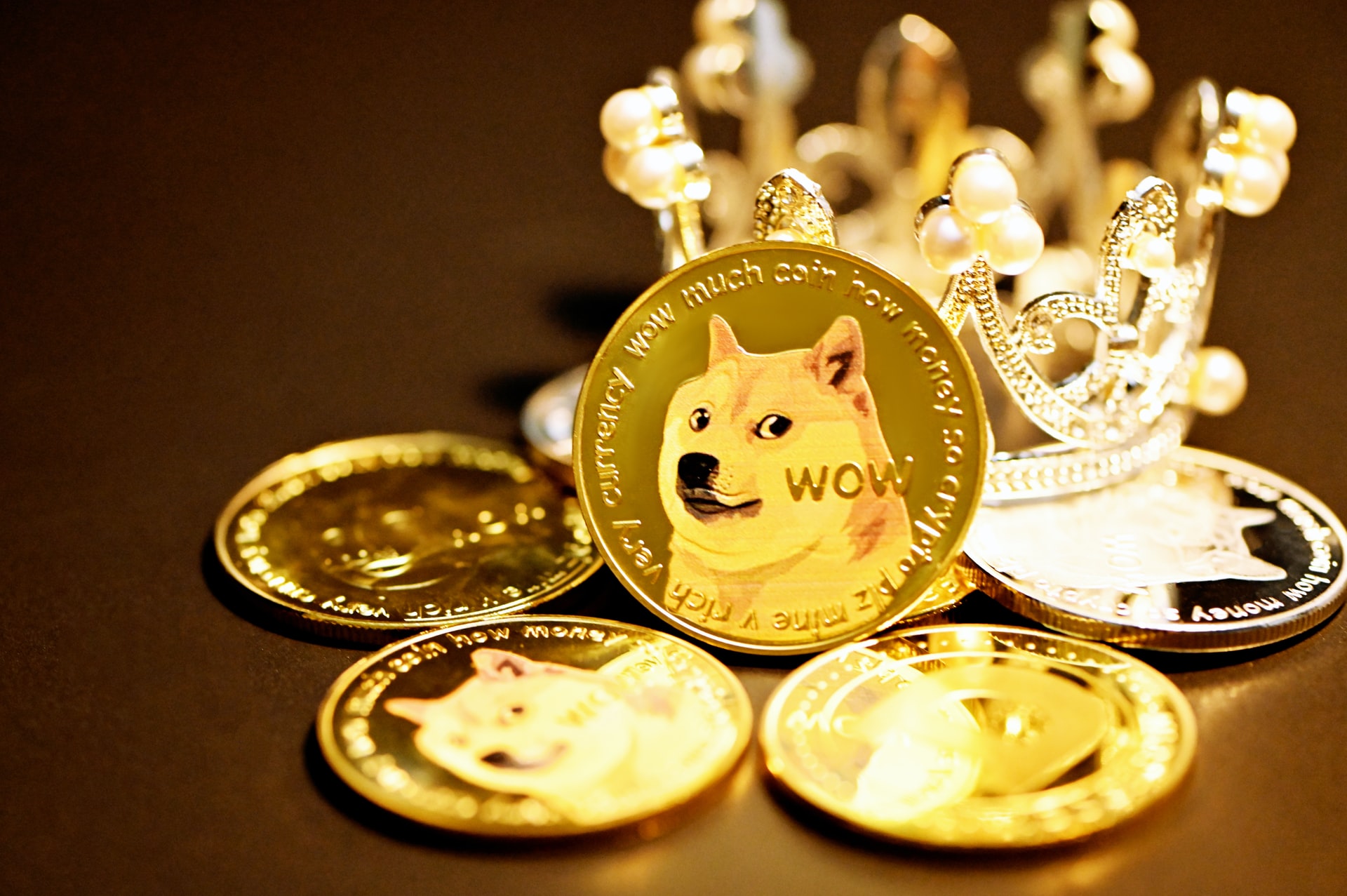 Why The Dogecoin Casinos Are So Special In Canada