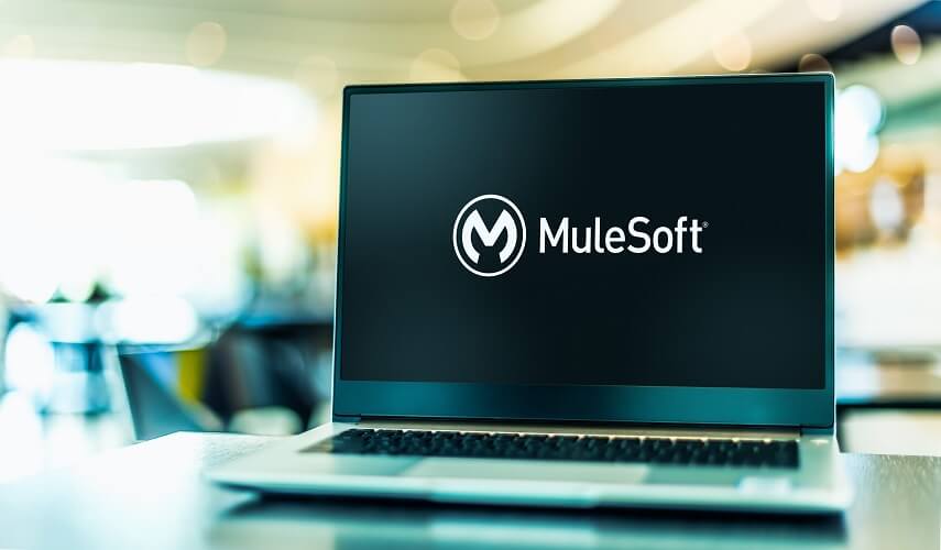 MuleSoft - Your Opportunities Are Endless Because Of The Unbeatable Features Of MuleSoft Anypoint Platform