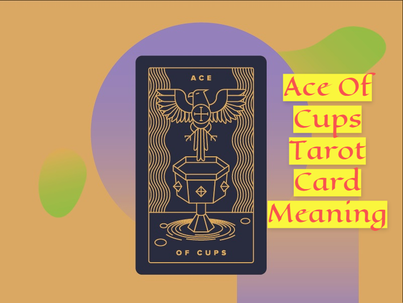 Ace Of Cups Tarot Card Meaning Represents A New Relationship