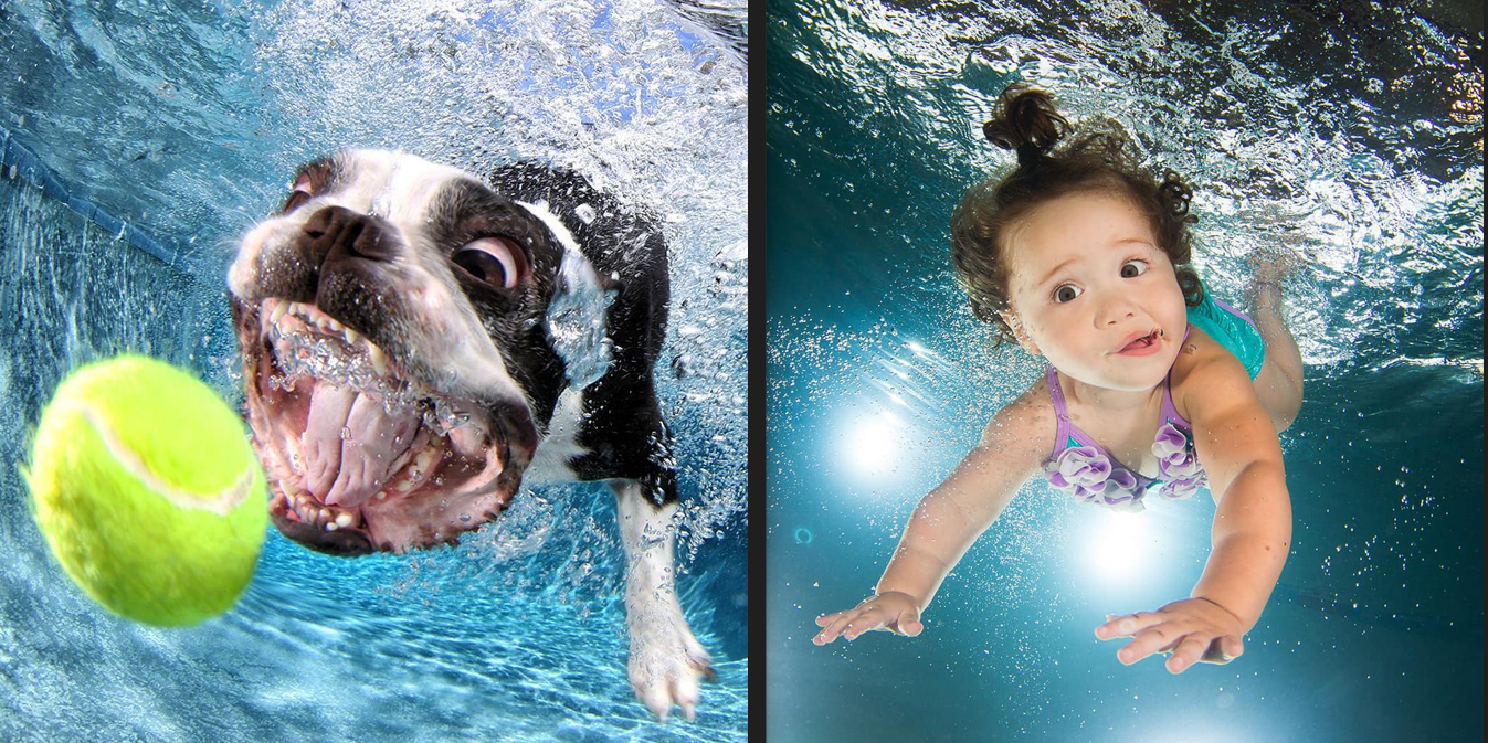 Underwater pictures of a Boston Terrier chasing a tennis ball and a baby girl by Seth Casteel