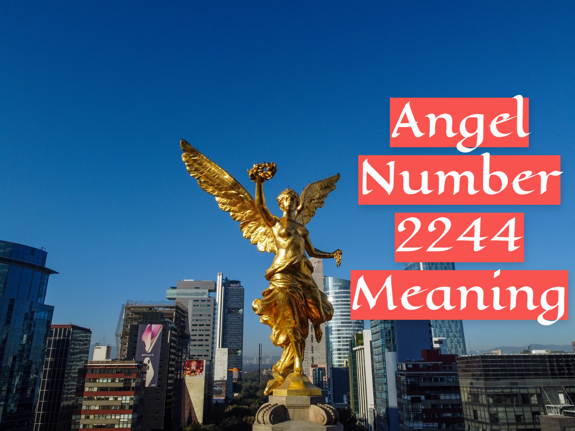 Angel Number 2244 Meaning Symbolizes Your Intellectual Prowess