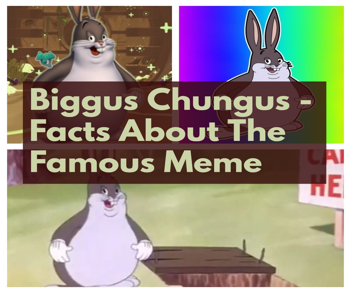 Biggus Chungus - Facts About The Famous Meme