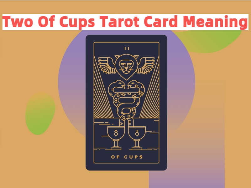 Two Of Cups Tarot Card Meaning Symbolizes Love And Desire