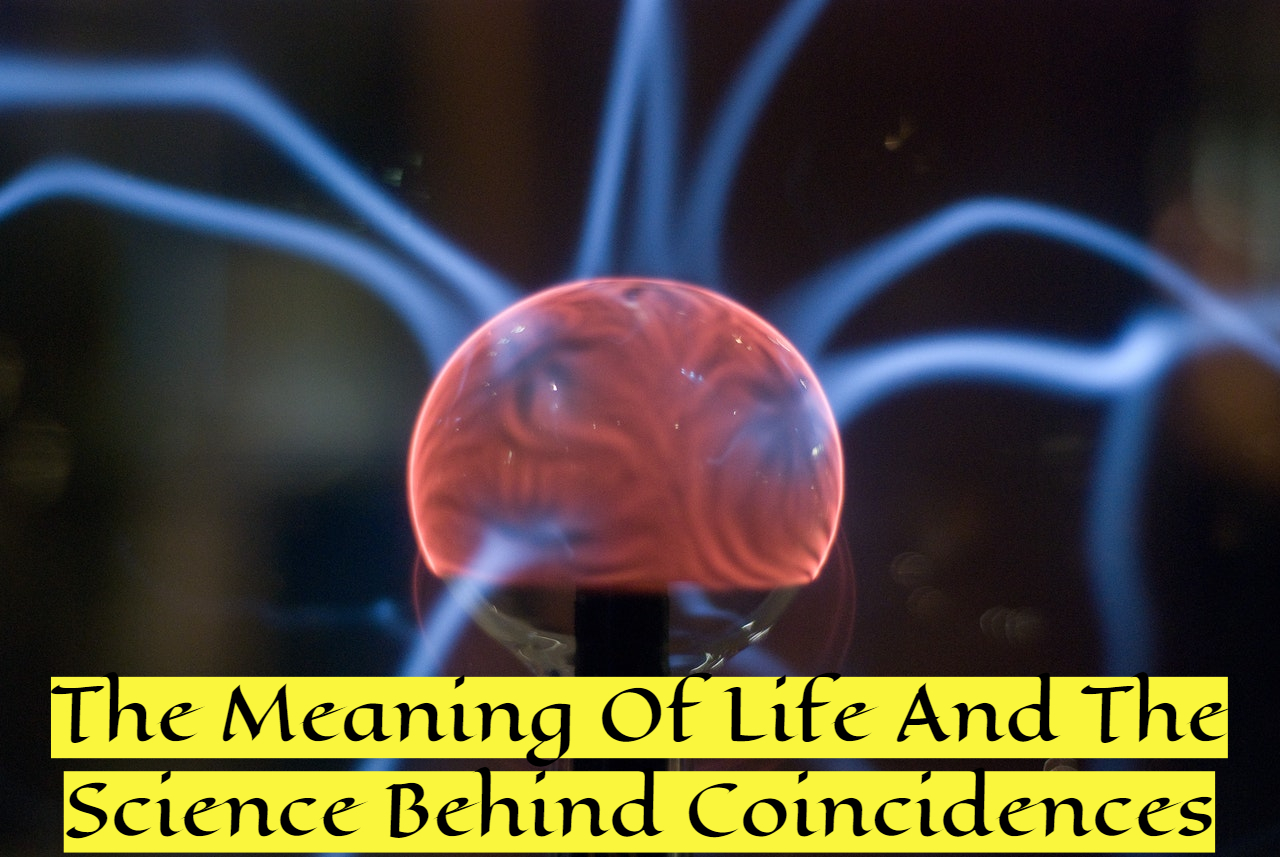 The Meaning Of Life And The Science Behind Coincidences Represent Nature
