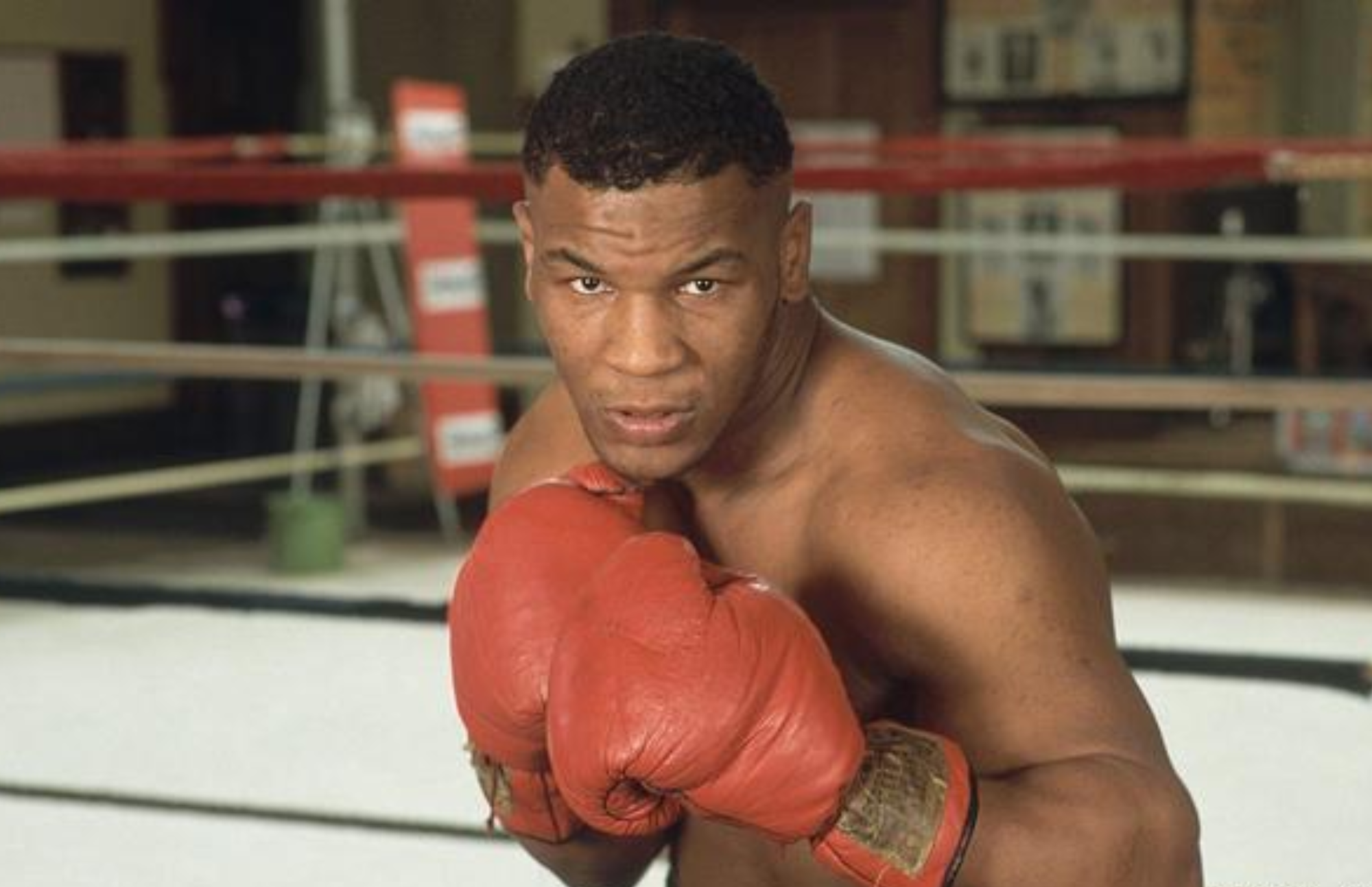 Mike Tyson poses while wearing his red boxing gloves
