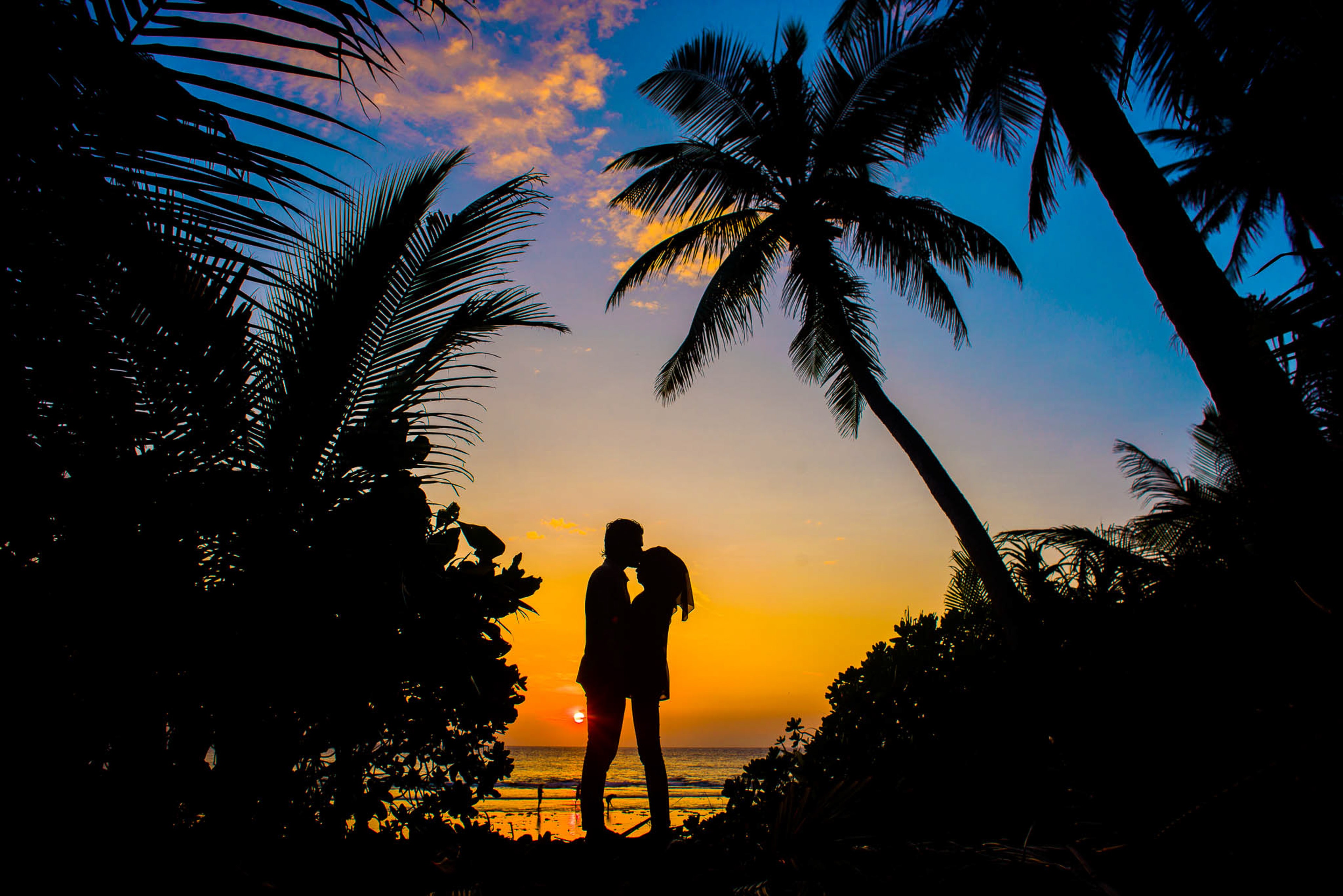 A man kissing a woman forehead silhouette in a sunset and palm tress