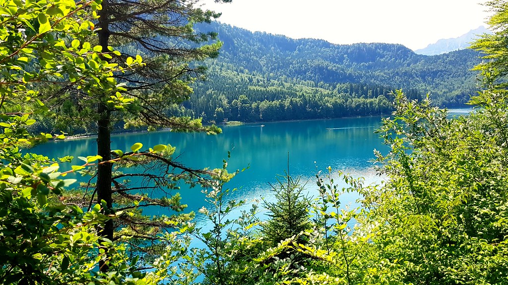 A stunning view of Lake Alpsee