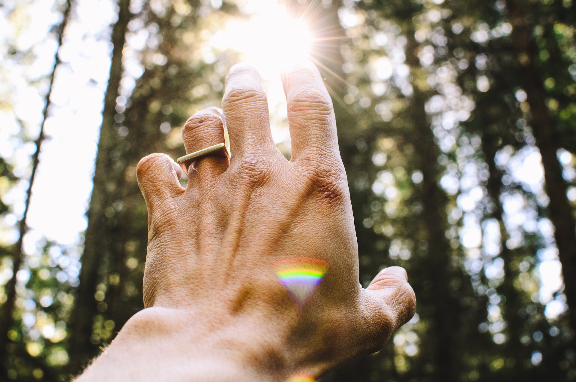 A human hand with a ring on it reaching up while sunlight passes through big trees