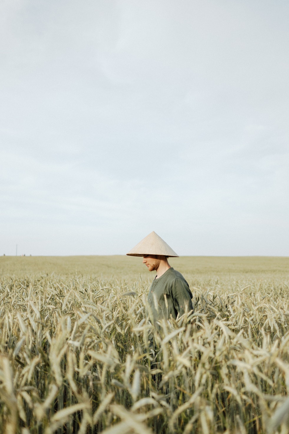 Man with Hat is Standing in the middle of a Wheat Field