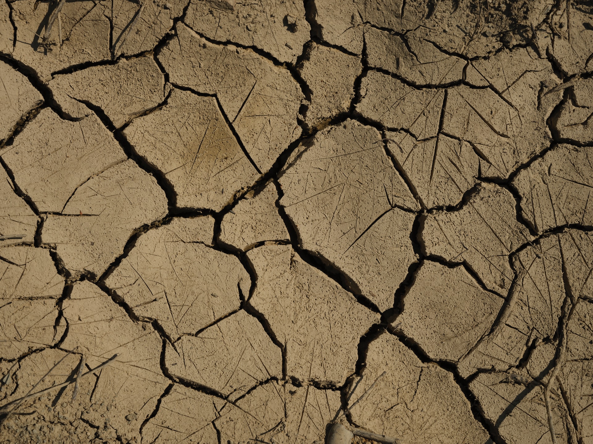 Dry soil surface