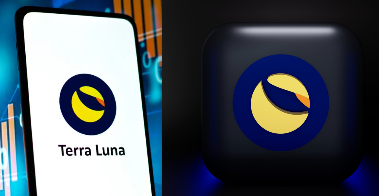 Luna Crypto - Its Collapse, Missing Founder And Everything In Between