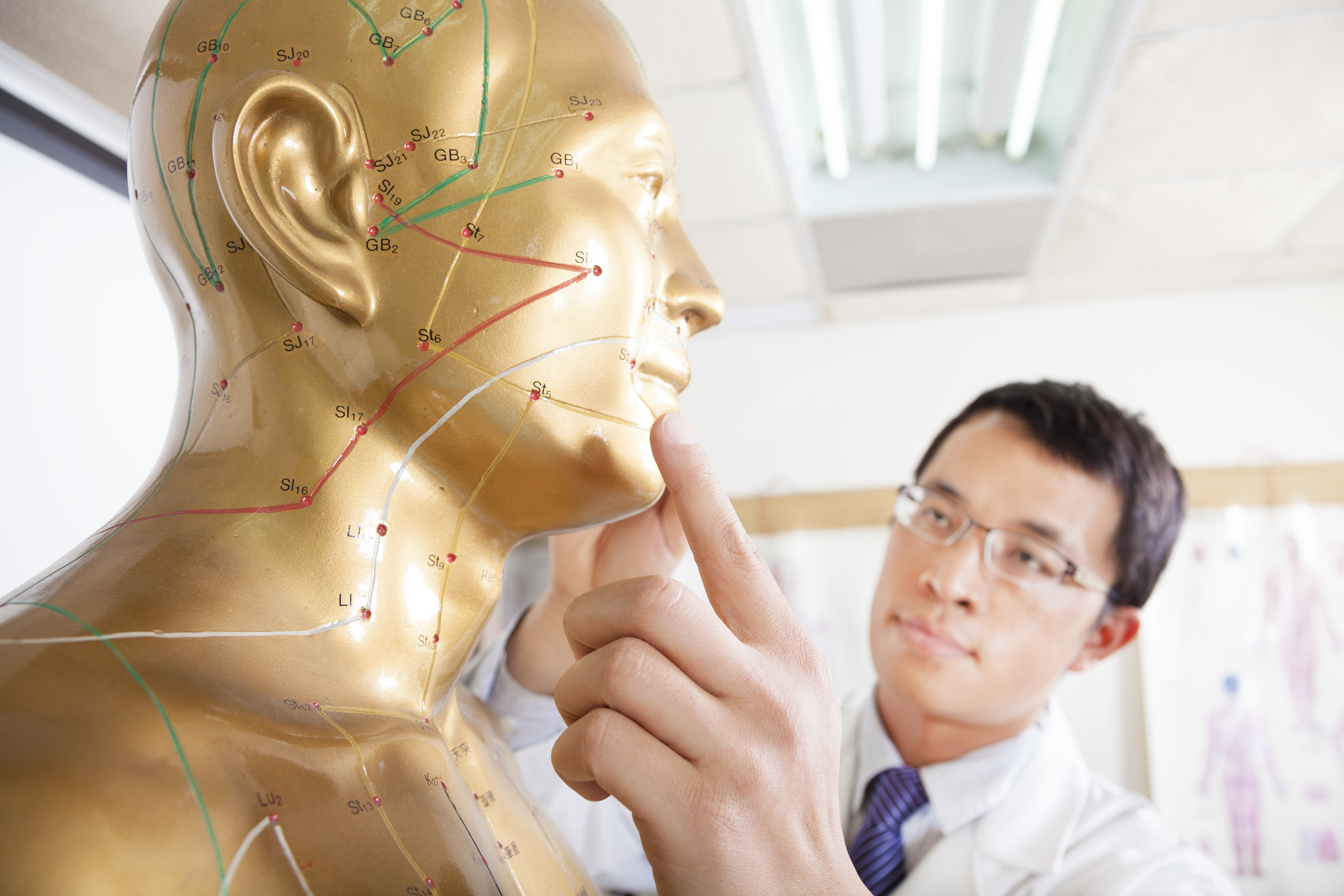 A doctor examining the acupuncture points
