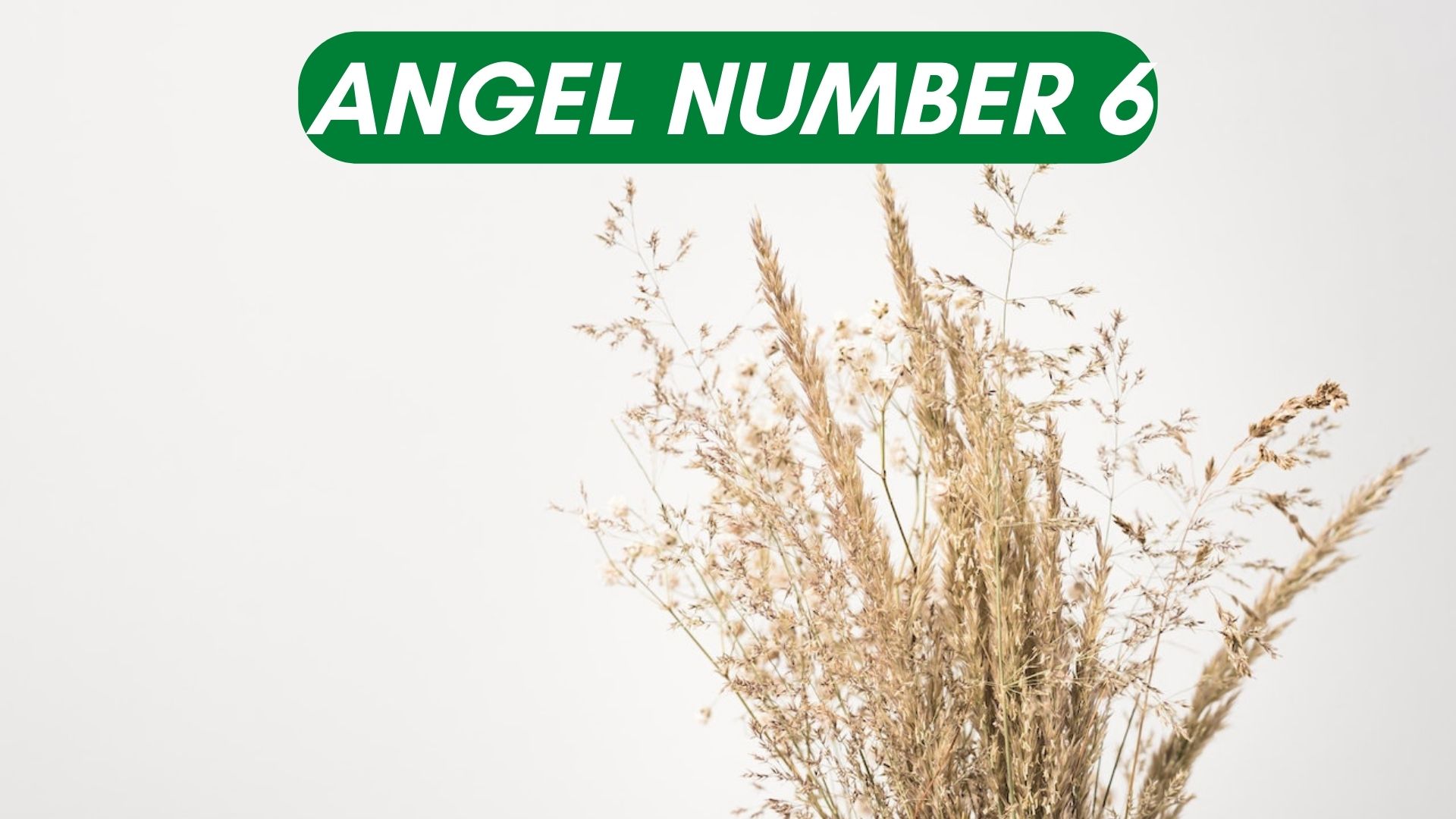 Angel Number 6 Meaning - Spiritual Significance And Symbolism