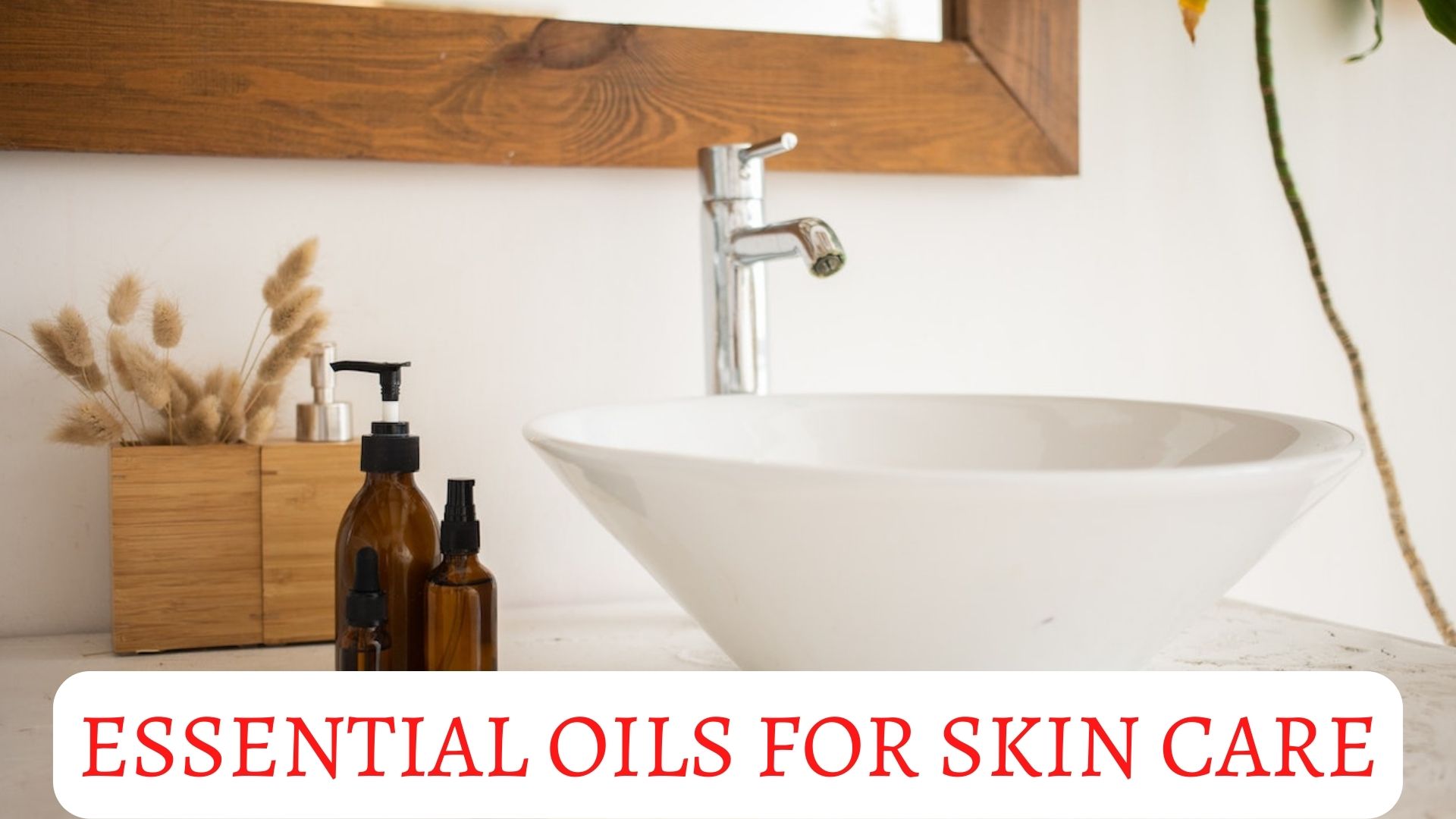 Top Essential Oils For Skin Care That You Must Try