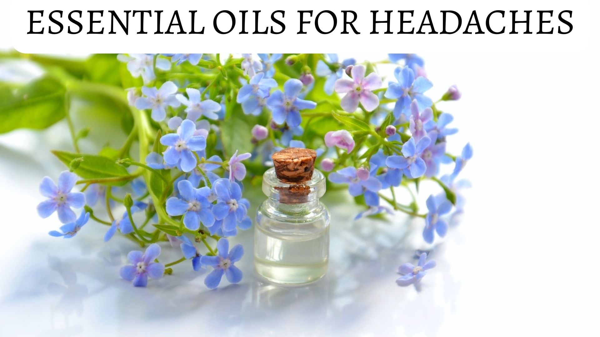 Essential Oils For Headaches - Relieving Migraine Symptoms
