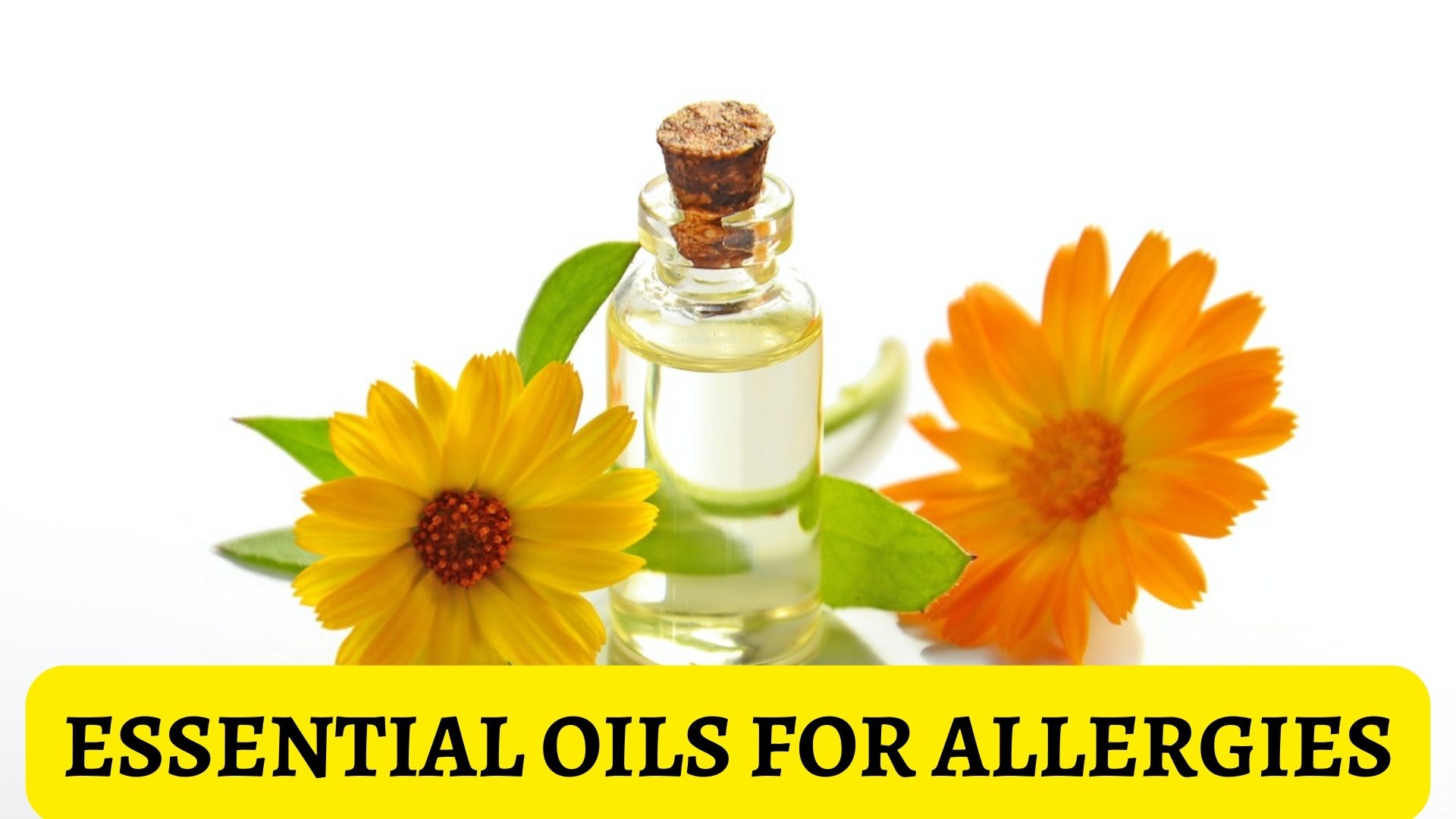 Essential Oils For Allergies - Best Way To Tackle Most Allergic Reactions