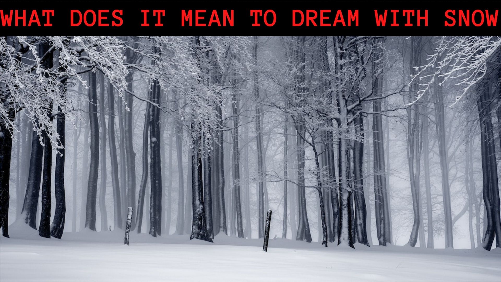 What Does It Mean To Dream With Snow? Signifies Progress, Happiness, And Calm