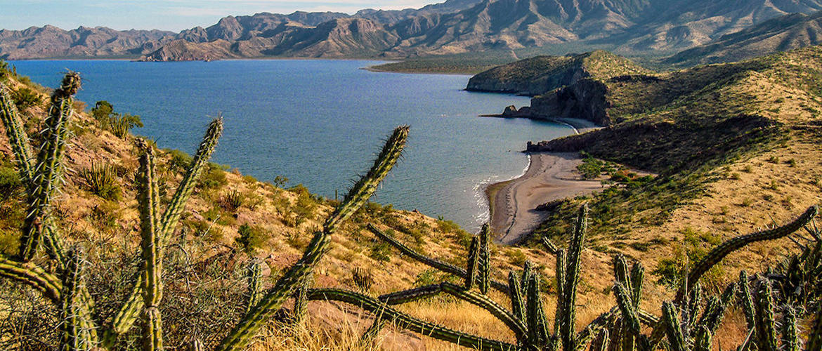 An aerial view of Baja California Sur