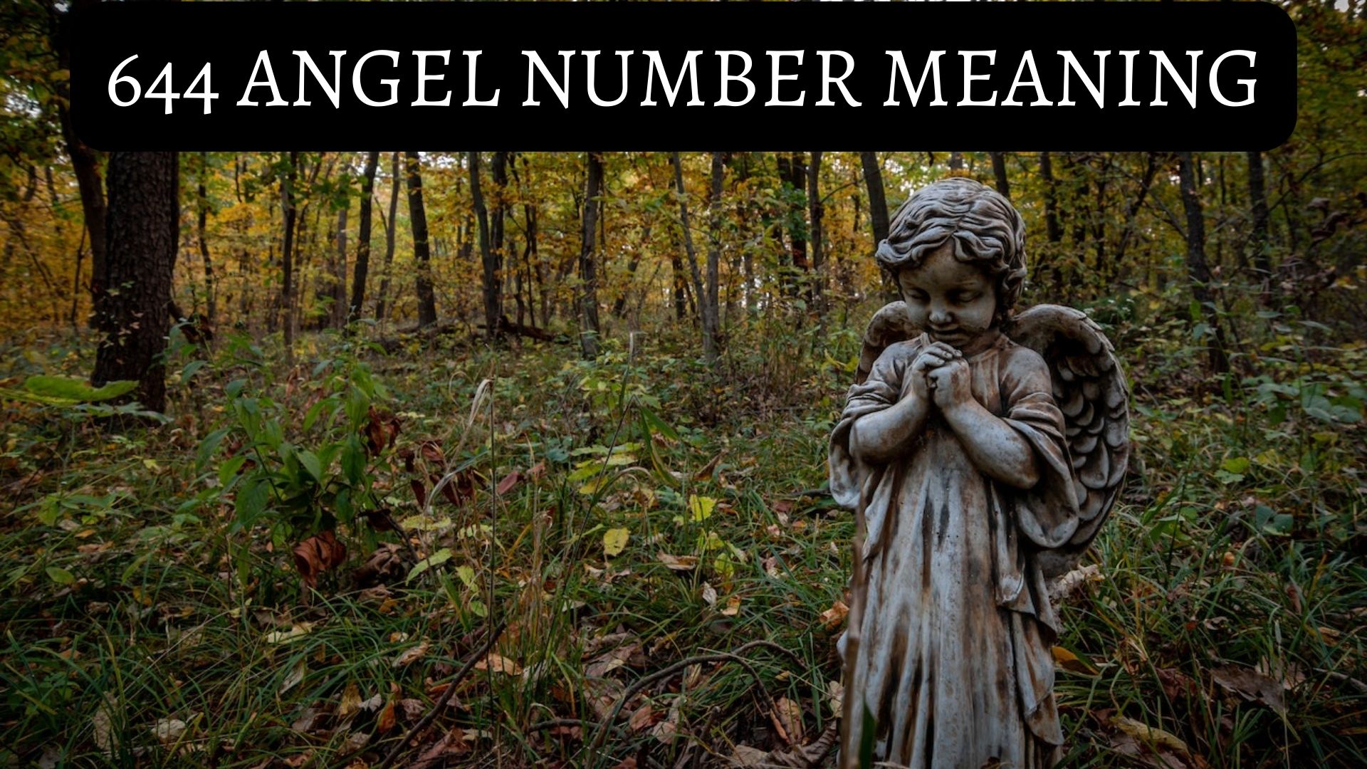 644 Angel Number Meaning - A Sign Of Hope And A Warning