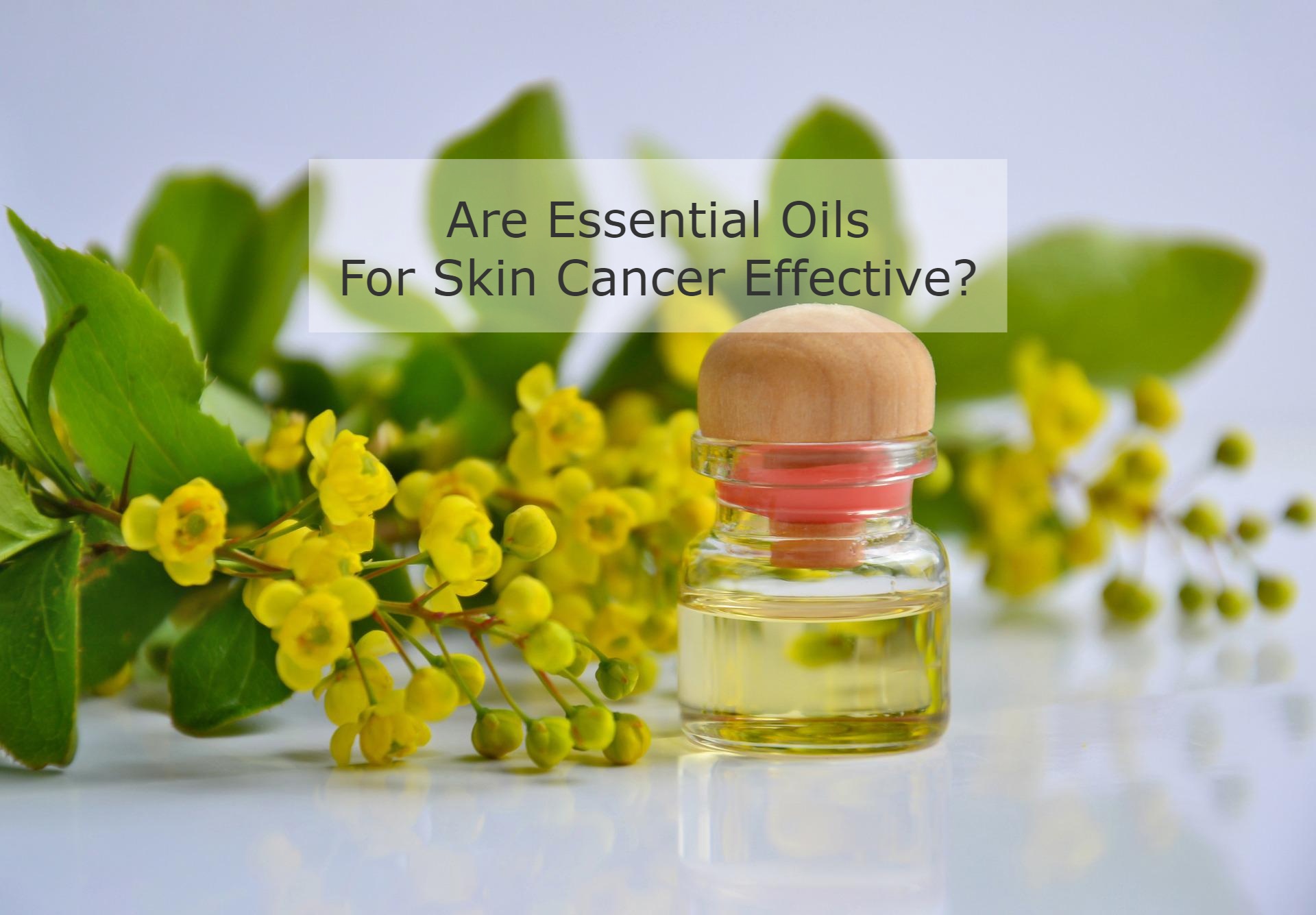 Are Essential Oils For Skin Cancer Effective?