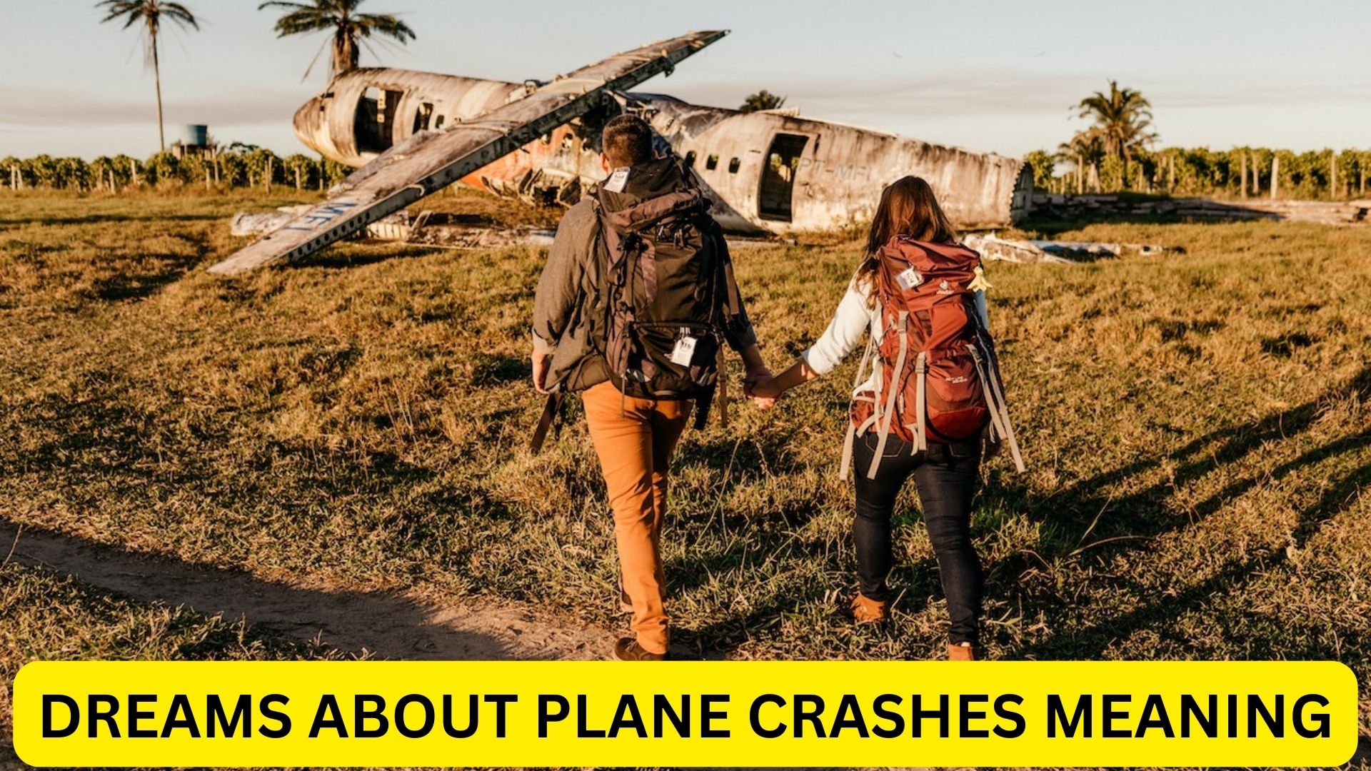 Dreams About Plane Crashes Meaning - Symbolic Of Emotional Volatility