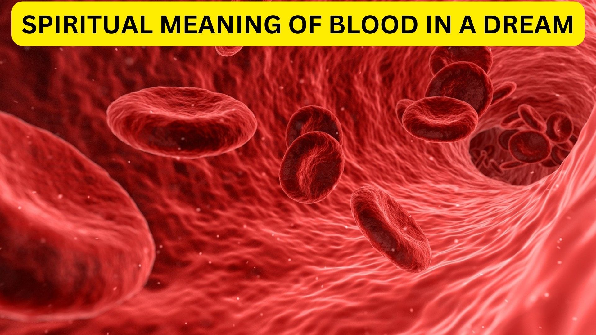 Spiritual Meaning Of Blood In A Dream - Represents Vitality And Life Force