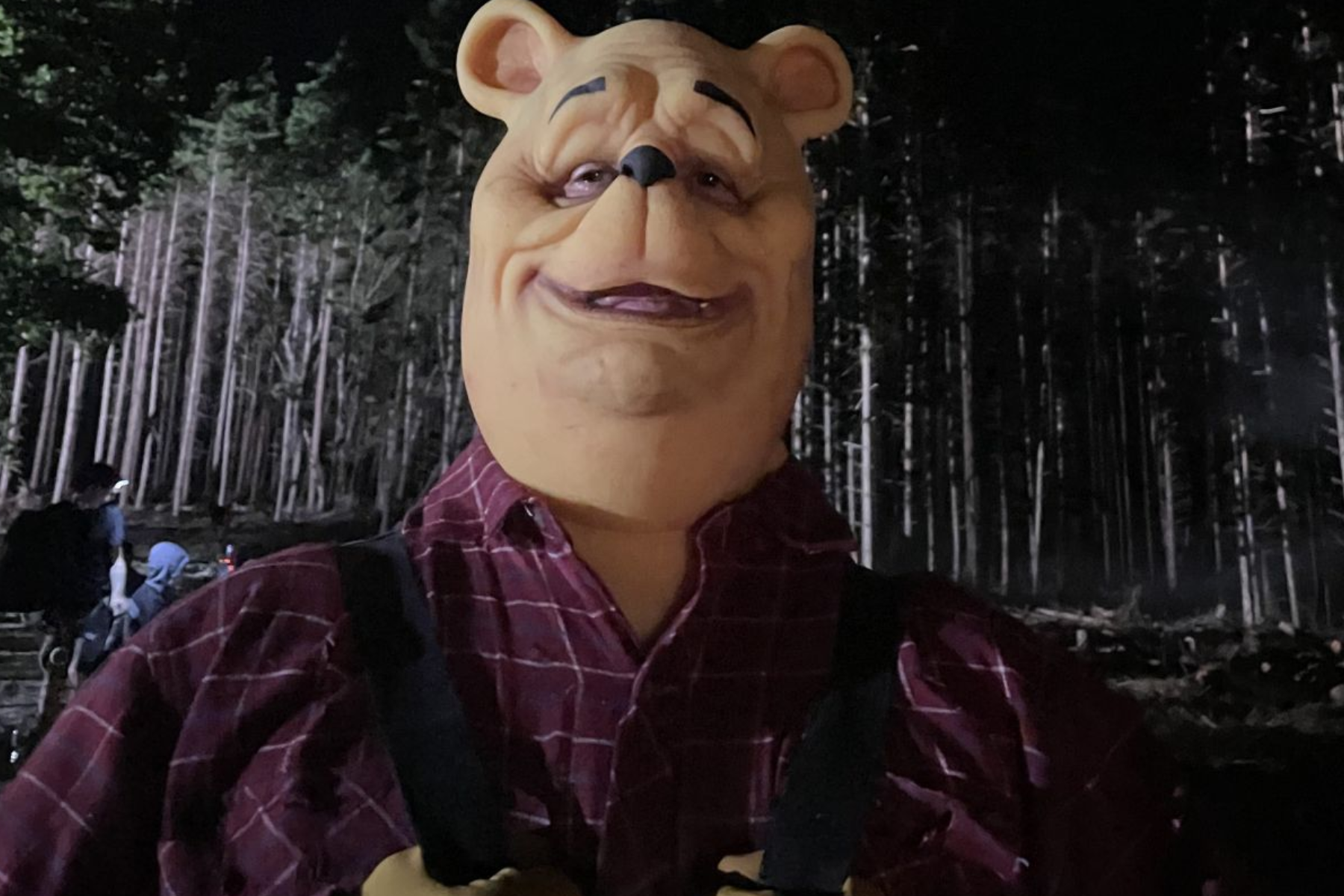 The character Winnie the Pooh from the forest horror film
