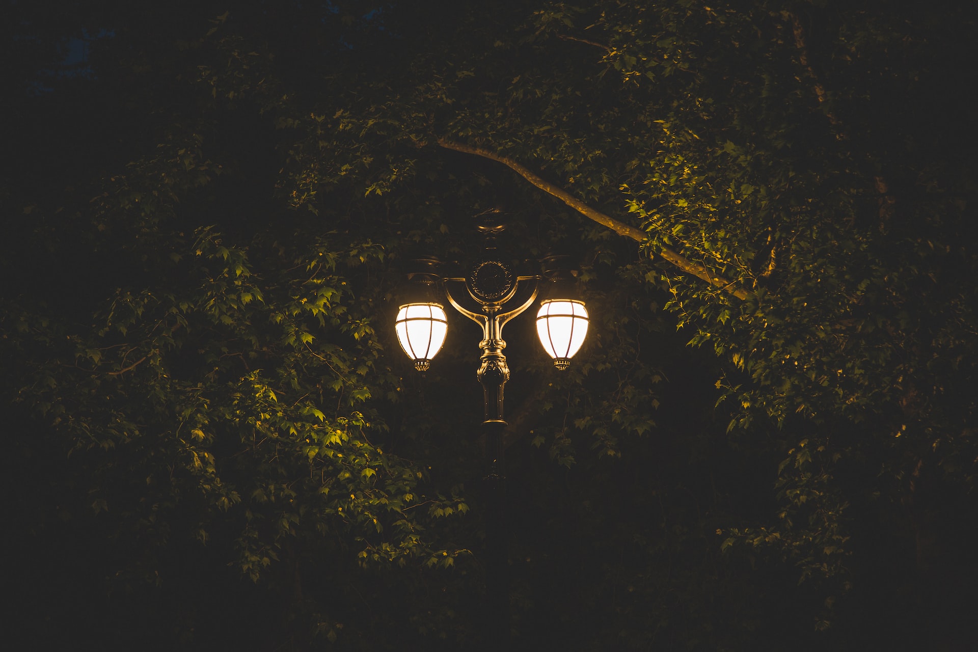 A light pole with intricate design and two turned-on lamps at night illuminating the leaves of a tree